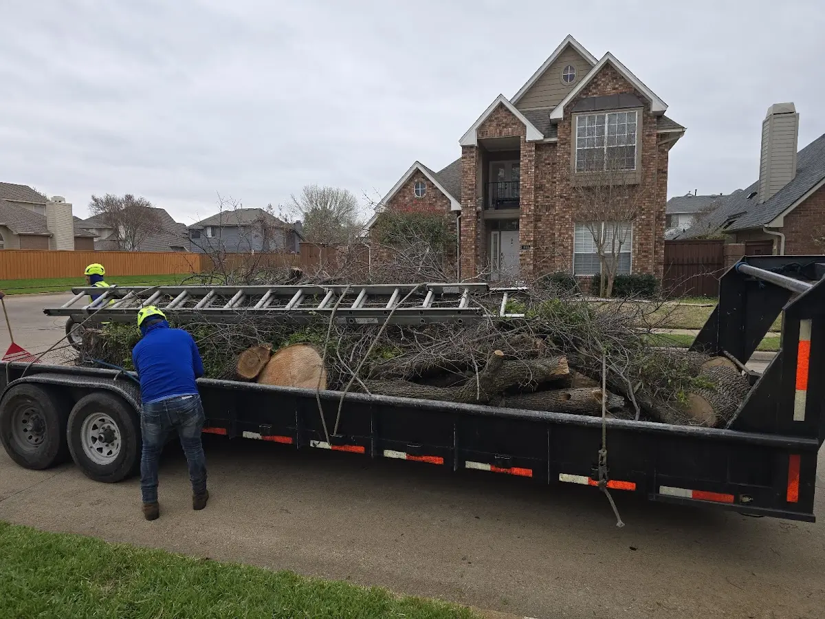 Expert Tree Fertilization with proper safety equipment in Webb